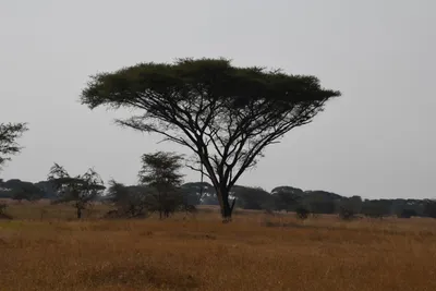 DSC_3388 (Large).JPG